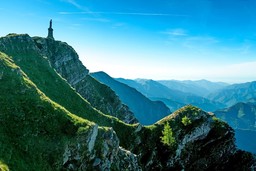 21.jpg - {21.jpg} - [123354]