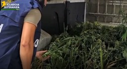 GuardiaDiFinanzaAstiMarijuana.jpeg - {GuardiaDiFinanzaAstiMarijuana.jpeg} - [123962]