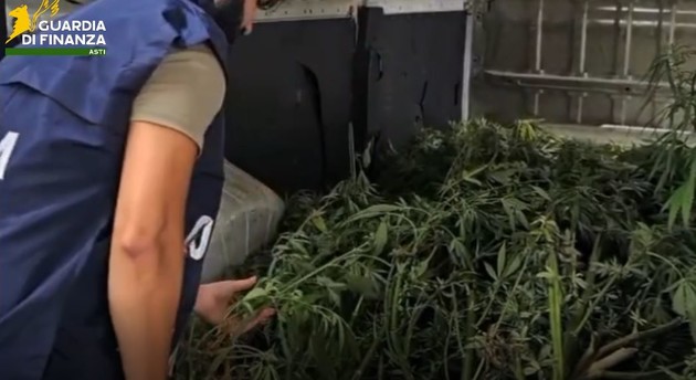 GuardiaDiFinanzaAstiMarijuana.jpeg - {GuardiaDiFinanzaAstiMarijuana.jpeg} - [123962]