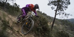 323.jpg - {323.jpg} - [124114]