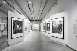 Carrie Mae Weems.jpg - {Carrie Mae Weems.jpg} - [124914]