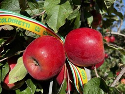 0.jpg - {0.jpg} - [125018]