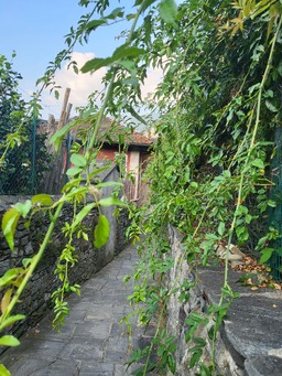 Una strada pedonale di accesso al centro storico ortese.jpg - {Una strada pedonale di accesso al centro storico ortese.jpg} - [12515]
