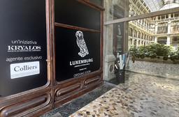 LibreriaTorino.jpg - {LibreriaTorino.jpg} - [12547]
