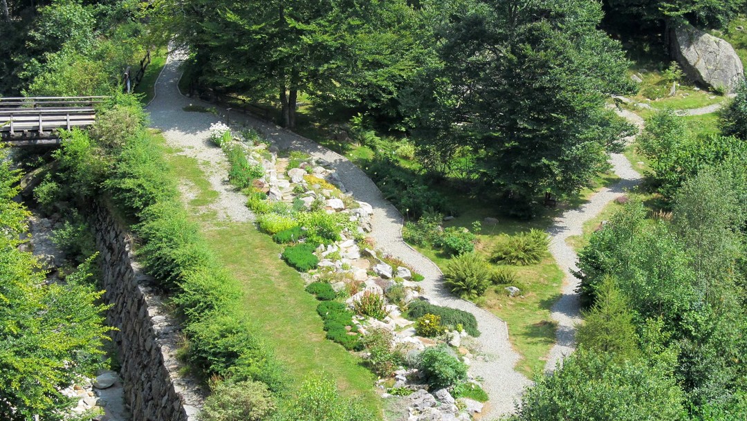 Oropa_giardino_botanico_da_cabinovia.jpg - {Oropa_giardino_botanico_da_cabinovia.jpg} - [126099]