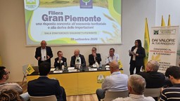 Immagine Tavolo_relatori-1024x577.jpg - {Immagine Tavolo_relatori-1024x577.jpg} - [126123]