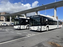 Immagine bus 4.jpg - {Immagine bus 4.jpg} - [126235]