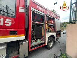 22.jpg - {22.jpg} - [127209]