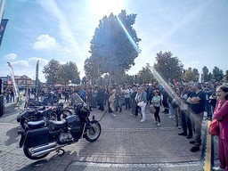 Immagine 20250914_111633.jpg - {Immagine 20250914_111633.jpg} - [127387]