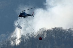 foto-3.jpg - {foto-3.jpg} - [127595]
