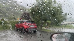 21.jpg - {21.jpg} - [127838]