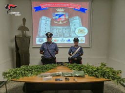 0.jpg - {0.jpg} - [128022]
