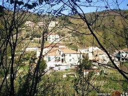 21.jpg - {21.jpg} - [128271]