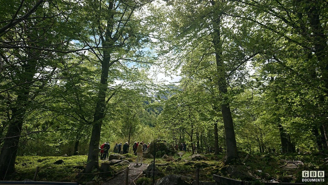 0.jpg - {0.jpg} - [128343]
