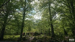 0.jpg - {0.jpg} - [128343]