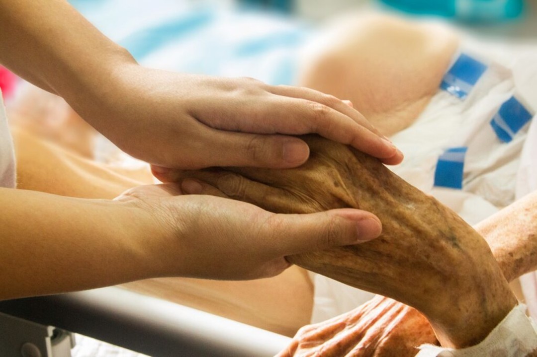 Immagine hospice-eutanasia-1024x682.jpg - {Immagine hospice-eutanasia-1024x682.jpg} - [128407]
