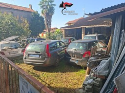 auto abbandonate.jpg - {auto abbandonate.jpg} - [128905]