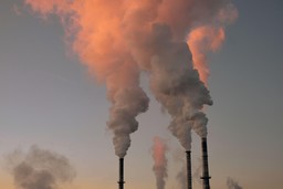 environment-4787978_1280.jpg - {environment-4787978_1280.jpg} - [129267]