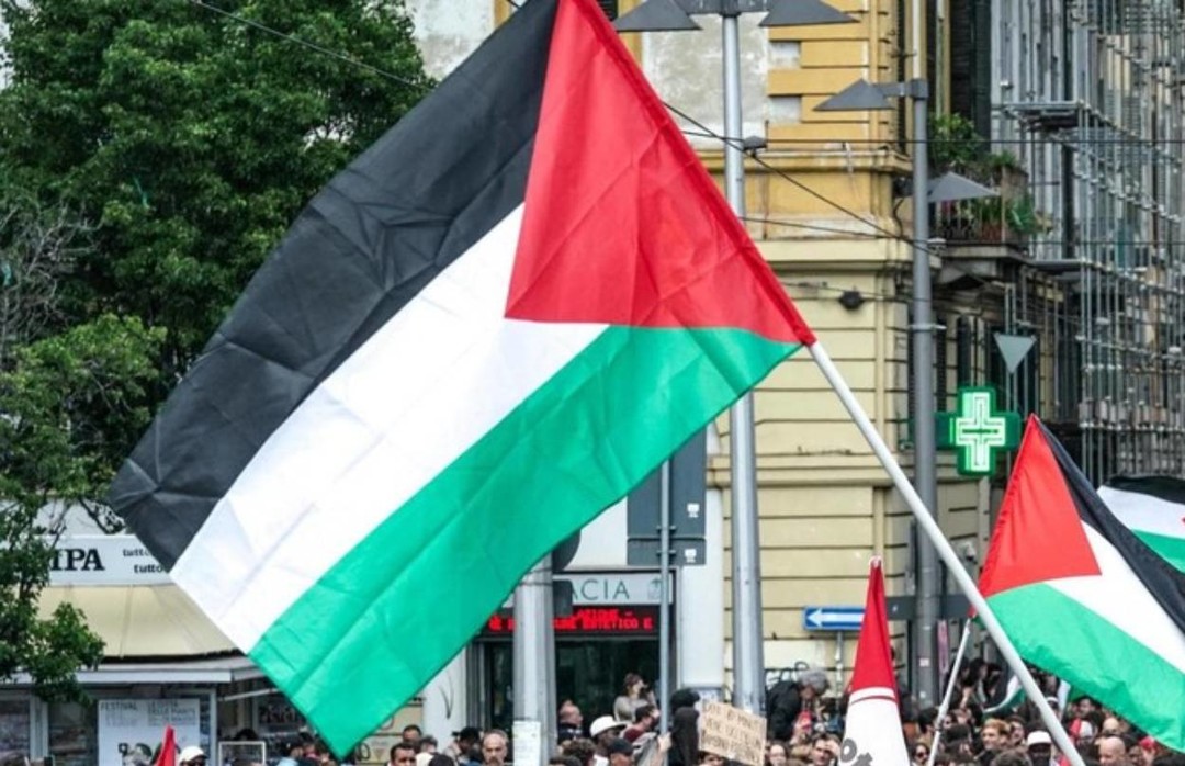 Foto proteste pro Palestina.jpg - {Foto proteste pro Palestina.jpg} - [129396]