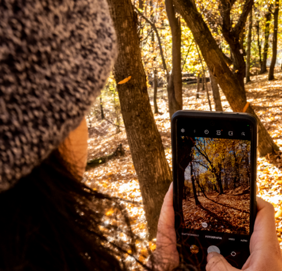 0.png - {0.png} - [129476]