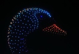 Arriva a Vinovo il Drone Show.jpg - {Arriva a Vinovo il Drone Show.jpg} - [129740]