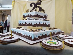 Immagine torta 25_.jpg - {Immagine torta 25_.jpg} - [131151]