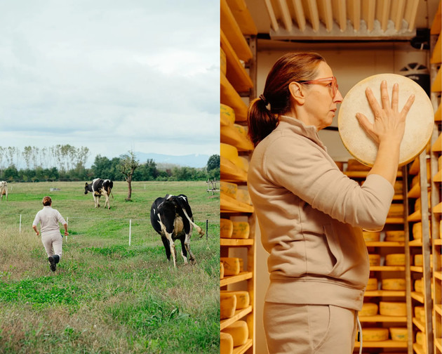 foto Gemme podcast agricoltura.jpg - {foto Gemme podcast agricoltura.jpg} - [132265]