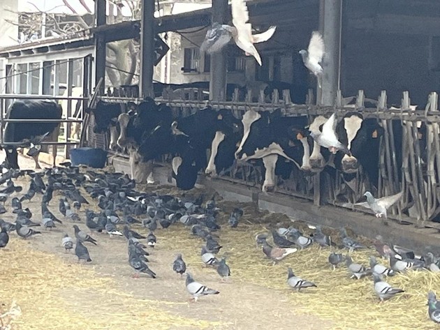 $R001EVE.jpg - {$R001EVE.jpg} - [132353]