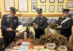 Foto.jpg - {Foto.jpg} - [132433]