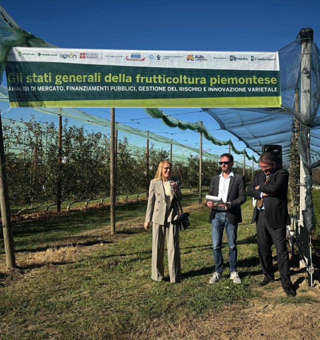 Immagine L’intervento della consigliera Casa (3421861).jpg - {Immagine L’intervento della consigliera Casa (3421861).jpg} - [132465]