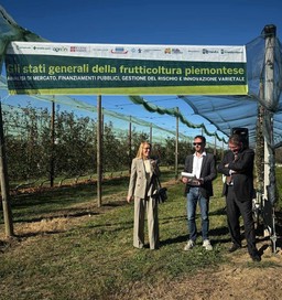 Immagine L’intervento della consigliera Casa (3421861).jpg - {Immagine L’intervento della consigliera Casa (3421861).jpg} - [132465]