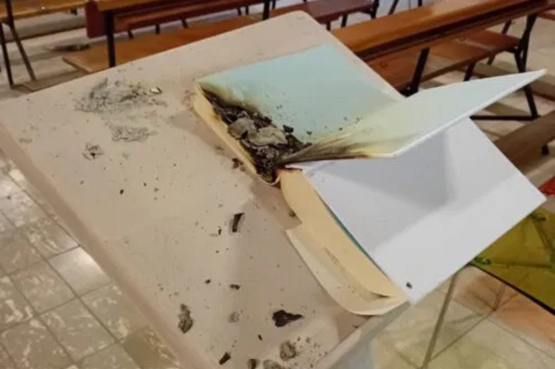 Uno dei libri bruciati.jpg - {Uno dei libri bruciati.jpg} - [132553]