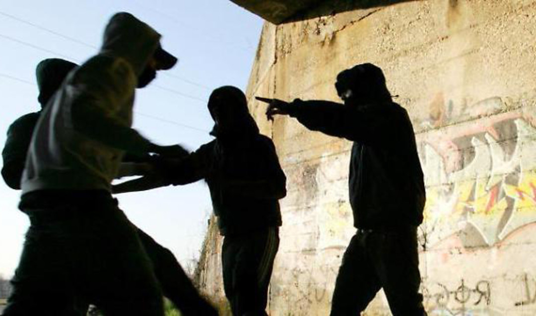 Immagine gang bulli.jpg - {Immagine gang bulli.jpg} - [132745]