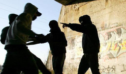 Immagine gang bulli.jpg - {Immagine gang bulli.jpg} - [132745]