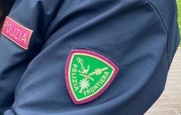 foto-settore-stemma.jpg - {foto-settore-stemma.jpg} - [133105]