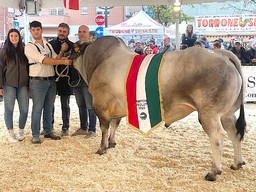 Immagine campione assoluto Tori Gintoniic.jpg - {Immagine campione assoluto Tori Gintoniic.jpg} - [133602]