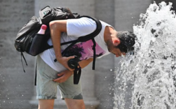 caldo .png - {caldo .png} - [13371]