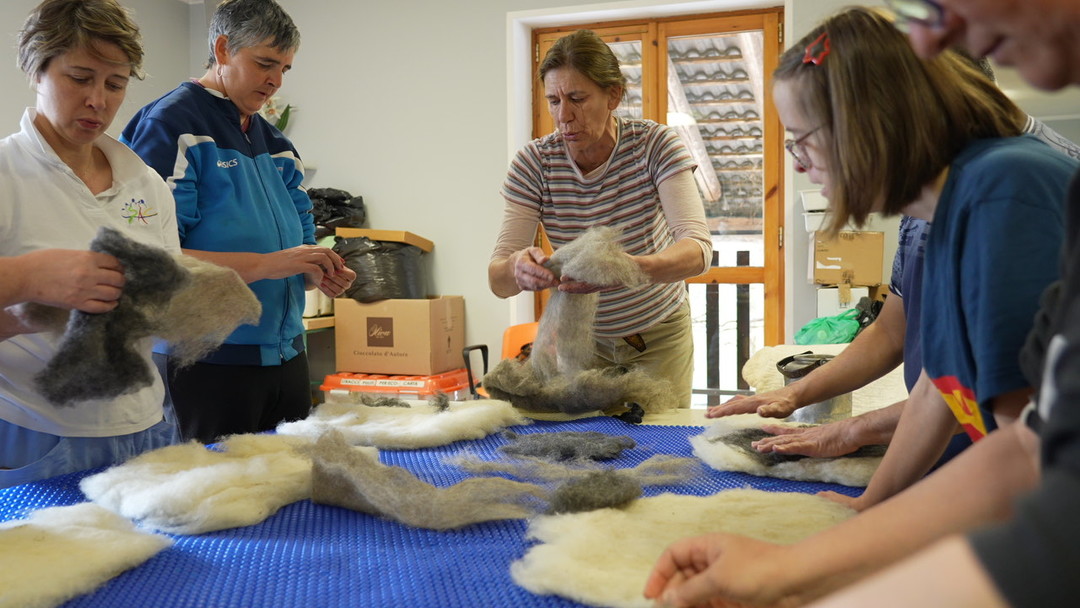 Lana-circolare02.jpg - {Lana-circolare02.jpg} - [133962]