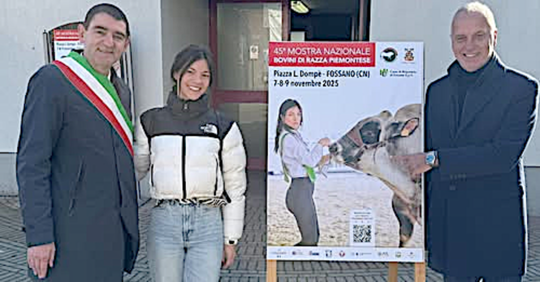 Immagine image (4).png - {Immagine image (4).png} - [134218]