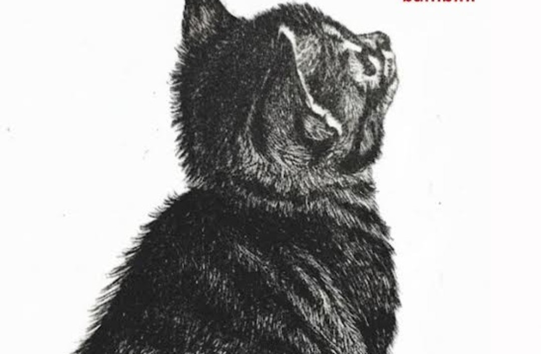 0.jpg - {0.jpg} - [134258]