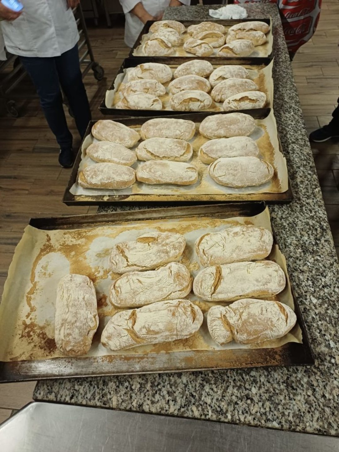 IMG-20251117-WA0001-768x1024.jpg - {IMG-20251117-WA0001-768x1024.jpg} - [134298]