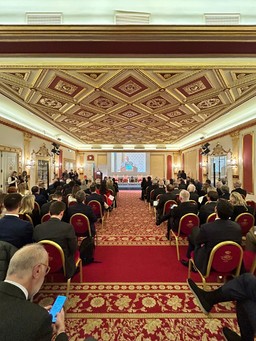 Immagine WhatsApp Image 2025-11-21 at 16.14.jpg - {Immagine WhatsApp Image 2025-11-21 at 16.14.jpg} - [134578]