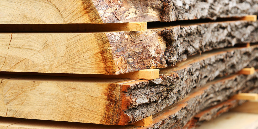 FilieraLegnoTorino.jpg - {FilieraLegnoTorino.jpg} - [134771]