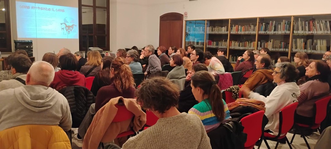 0.jpg - {0.jpg} - [135139]