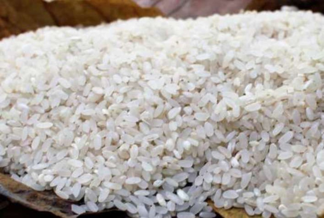 riso_japonica.jpg - {riso_japonica.jpg} - [135243]