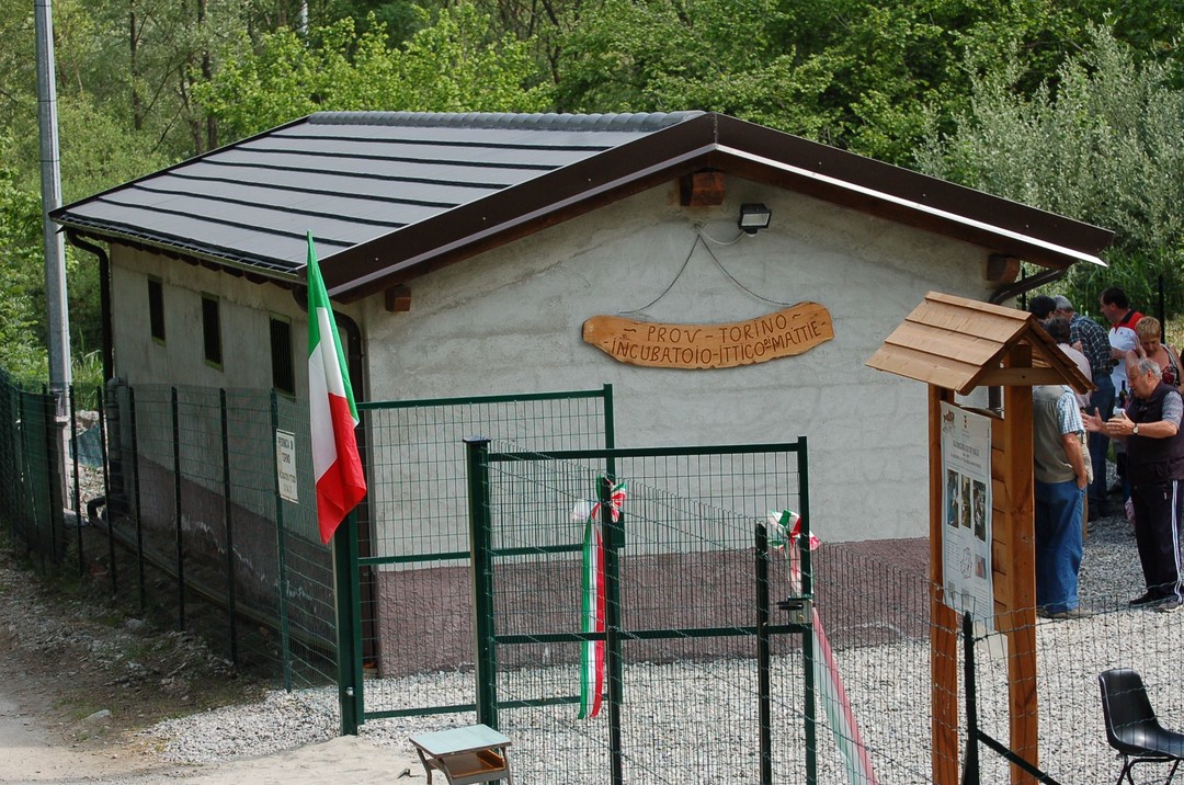 L'incubatoio ittico di Mattie foto.jpg - {L'incubatoio ittico di Mattie foto.jpg} - [13539]