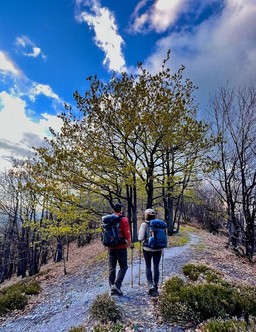 0.jpg - {0.jpg} - [135939]