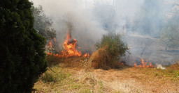 SterpaglieIncendio.jpg - {SterpaglieIncendio.jpg} - [13611]