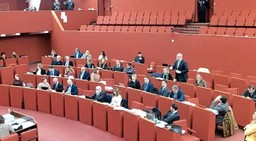 Immagine hgfhfghfghf.jpg - {Immagine hgfhfghfghf.jpg} - [136291]