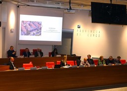 Tavolo-relatori-scaled-e1766145624920.jpg - {Tavolo-relatori-scaled-e1766145624920.jpg} - [136363]